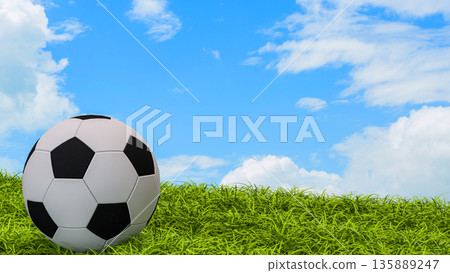 Classic Soccer Ball on Green Grass Under Blue Sky 3d render. 135889247