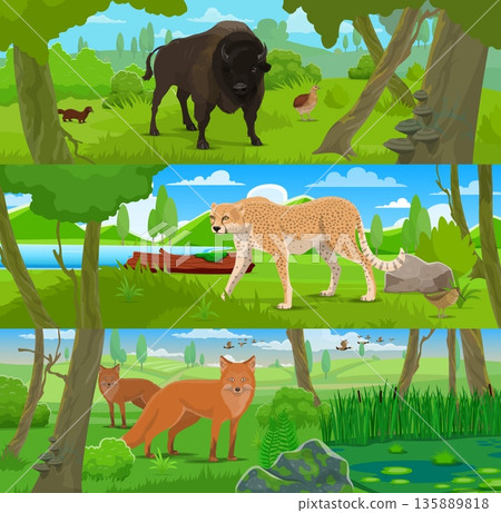 Cartoon wild animals, hunting sport. Vector bison, partridge bird and sable in the woods, cheetah near lake, two foxes beside green bushes. Wildlife conservation, natural park, hunting sport animals 135889818
