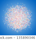 淡色的櫻花飄落在藍色背景上 135890346