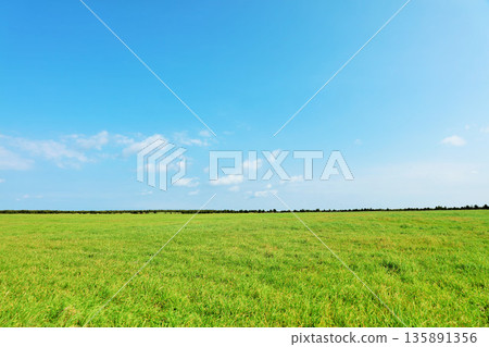 Hokkaido: Blue skies and fresh green grasslands Hokkaido: Blue skies and fresh green grasslands 135891356