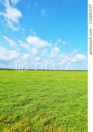 北海道：藍天白雲、綠草如茵 135891357