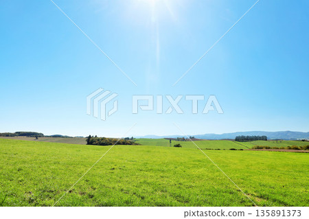 Hokkaido summer blue sky and Biei landscape Hokkaido summer blue sky and Biei landscape 135891373