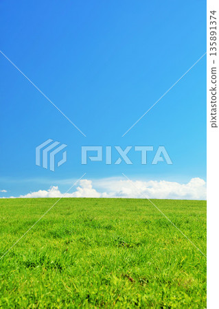 Hokkaido summer blue sky and fresh green meadow scenery Hokkaido summer blue sky and fresh green meadow scenery 135891374