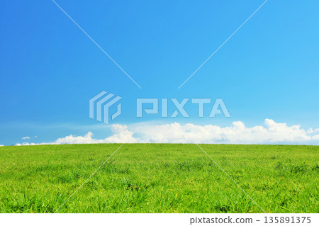 Hokkaido summer blue sky and fresh green meadow scenery Hokkaido summer blue sky and fresh green meadow scenery 135891375