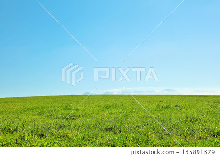 Hokkaido summer blue sky and fresh green meadow scenery 135891379