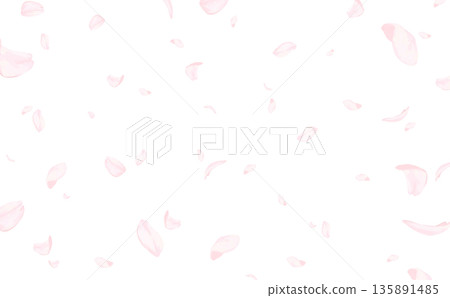Cherry blossoms_hand-drawn_cherry blossom snowflakes_no background_horizontal Cherry blossoms_hand-drawn_cherry blossom snowflakes_no background_horizontal 135891485