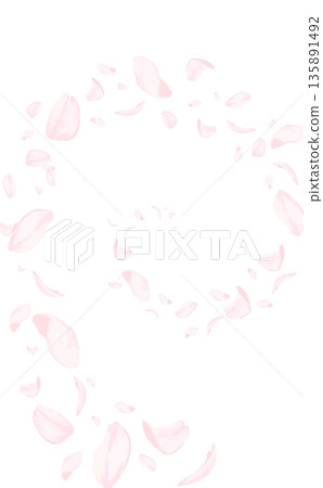 Cherry blossoms_hand-drawn_swirling and flying petals_vertical 135891492