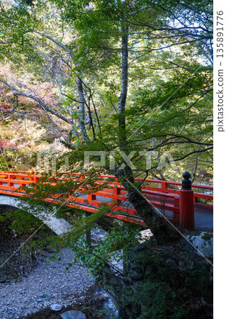 Red maple trees around Saimyoji Temple in Makio, Kyoto 135891776