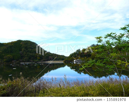 Lake Chiyoda scenery 135891978