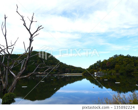 Lake Chiyoda scenery 135892224