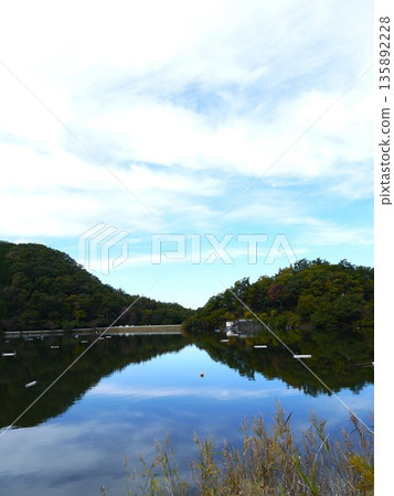 Sky reflected in Lake Chiyoda 135892228