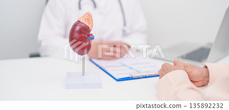 Elderly Patient consultation with doctor for Kidney disease, Urinary system and Stones, Cancer, world kidney day, Chronic kidney, Urology, Nephritis, Renal, Transplant and medical healthcare concept Elderly Patient consultation with doctor for Kidney disease, Urinary system and Stones, Cancer, world kidney day, Chronic kidney, Urology, Nephritis, Renal, Transplant and medical healthcare concept 135892232