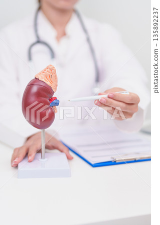 Elderly Patient consultation with doctor for Kidney disease, Urinary system and Stones, Cancer, world kidney day, Chronic kidney, Urology, Nephritis, Renal, Transplant and medical healthcare concept 135892237