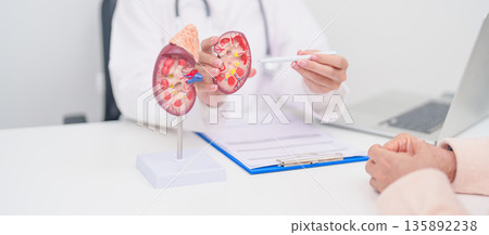 Elderly Patient consultation with doctor for Kidney disease, Urinary system and Stones, Cancer, world kidney day, Chronic kidney, Urology, Nephritis, Renal, Transplant and medical healthcare concept 135892238