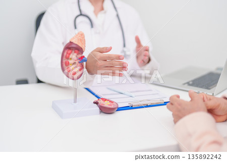 Elderly Patient consultation with doctor for Kidney disease, Urinary system and Stones, Cancer, world kidney day, Chronic kidney, Urology, Nephritis, Renal, Transplant and medical healthcare concept Elderly Patient consultation with doctor for Kidney disease, Urinary system and Stones, Cancer, world kidney day, Chronic kidney, Urology, Nephritis, Renal, Transplant and medical healthcare concept 135892242