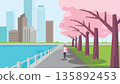 City Promenade During Cherry Blossom 135892453
