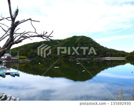 安靜的湖畔 135892930