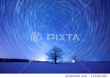 榆樹和星軌 榆樹和星軌 135892965