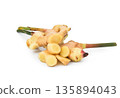 Fresh galangal isolated on white background. 135894043