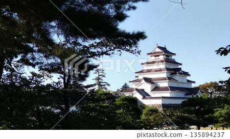 Tsuruga Castle seen through the trees 135894237