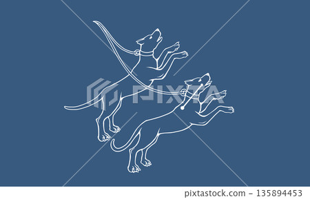 Illustration of Canes Venatici floating on a navy background (a picture of a hound and constellation lines in white) Illustration of Canes Venatici floating on a navy background (a picture of a hound and constellation lines in white) 135894453