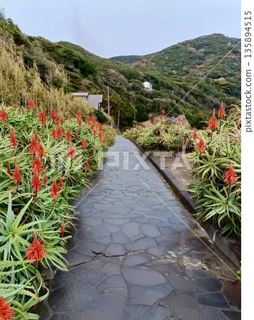 Aloe Village Aloe Flower Festival Aloe Village Aloe Flower Festival 135894515