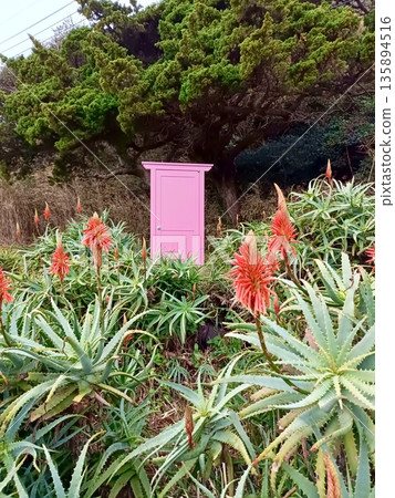 Aloe Village Aloe Flower Festival Aloe Village Aloe Flower Festival 135894516