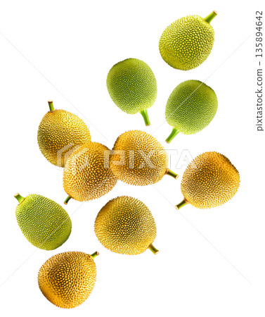 Whole ripe and unripe jackfruits scattered and isolated on white background, healthy food concept Whole ripe and unripe jackfruits scattered and isolated on white background, healthy food concept 135894642