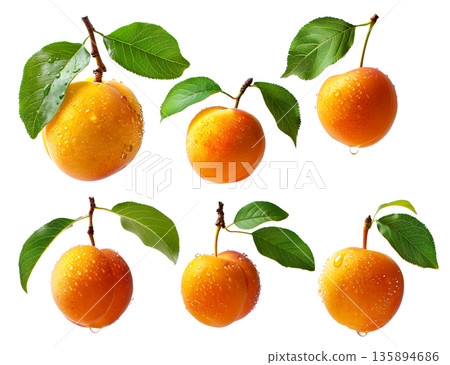 Set of ripe apricot with dew drops and leaves isolated on white background Set of ripe apricot with dew drops and leaves isolated on white background 135894686