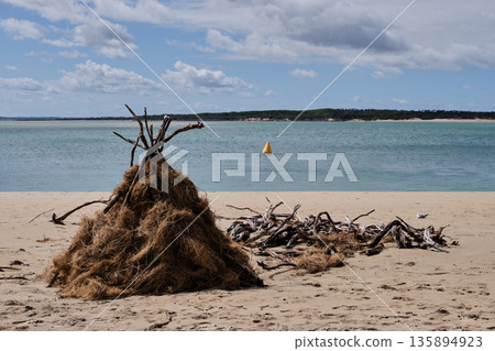 Driftwood shelter - Inverloch 135894923
