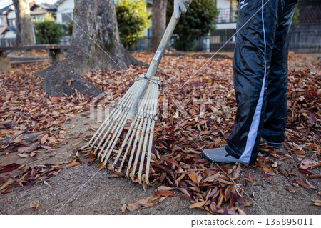 A man cleaning up a park full of fallen leaves 135895011