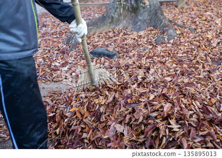 A man cleaning up a park full of fallen leaves A man cleaning up a park full of fallen leaves 135895013