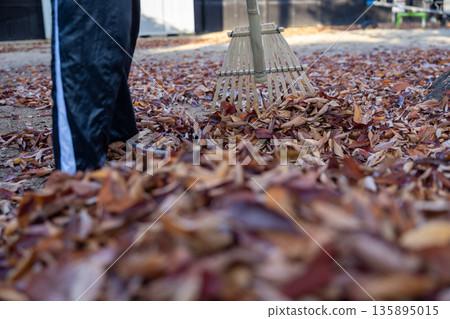 A man cleaning up a park full of fallen leaves A man cleaning up a park full of fallen leaves 135895015