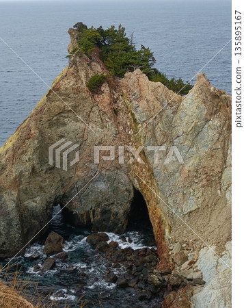 West Izu, Cape Kogane West Izu, Cape Kogane 135895167