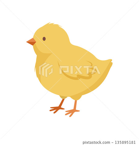 Cute yellow baby chick. Little Easter chicken vector illustration 135895181