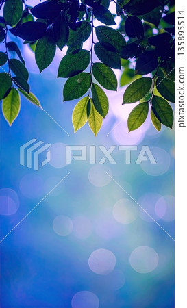 AI圖像：夜晚的清新綠植 135895514