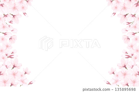 手繪櫻花左右邊框_橫向 手繪櫻花左右邊框_橫向 135895698