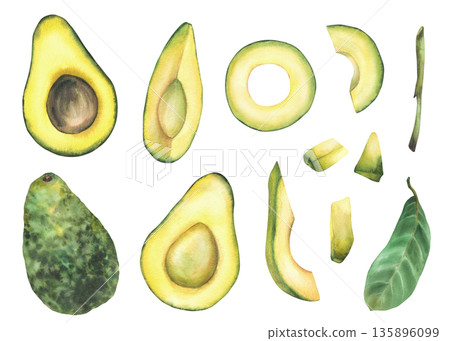 Avocado set with whole fruit, halves, rings, slices and leaves, hand drawn in watercolor on isolated white background. Realistic illustration for food design, healthy lifestyle concepts, menu, recipes Avocado set with whole fruit, halves, rings, slices and leaves, hand drawn in watercolor on isolated white background. Realistic illustration for food design, healthy lifestyle concepts, menu, recipes 135896099