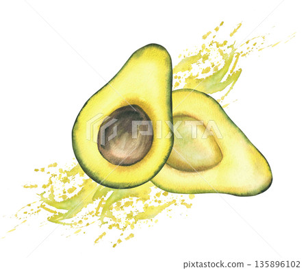 Two halves of a ripe avocado fruit with seed on splash spot juicy watercolor yellow green background. Hand drawn illustration isolated for healthy food, cosmetic, product design label, packaging, menu 135896102