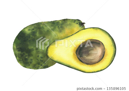 Watercolor avocado on isolated white background. Whole and cut green fruit half with seed. Hand painted illustration for healthy food lifestyle concepts, packaging, menus, farm product label branding Watercolor avocado on isolated white background. Whole and cut green fruit half with seed. Hand painted illustration for healthy food lifestyle concepts, packaging, menus, farm product label branding 135896105