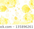 Cute fashionable mimosa background illustration 135896261