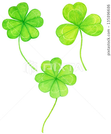 Hand-drawn watercolor clover illustration: Two four-leaf and one three-leaf clover, a lucky motif Hand-drawn watercolor clover illustration: Two four-leaf and one three-leaf clover, a lucky motif 135896686
