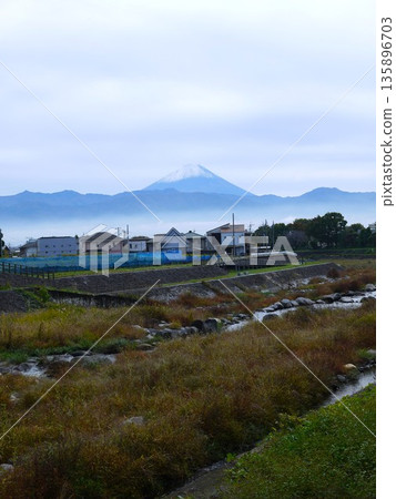 Mt. Fuji floating in the sea of clouds Mt. Fuji floating in the sea of clouds 135896703