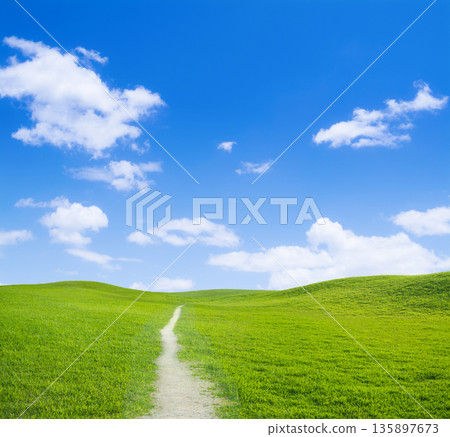 Green grassland and blue sky 135897673