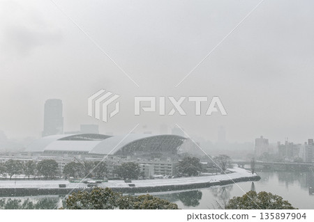 廣島市遭遇暴雪襲擊 135897904