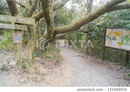 進入攝津華仙健行路線 進入攝津華仙健行路線 135898030
