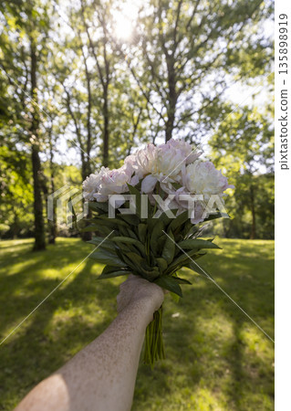hold bouquet of fresh fragrant milky pink peonies on the background of a green park in the spring season, sunny clear warm weather in a park hold bouquet of fresh fragrant milky pink peonies on the background of a green park in the spring season, sunny clear warm weather in a park 135898919