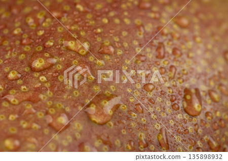 wet ripe green-red ripe pear close up, the pear are covered with drops of water 135898932