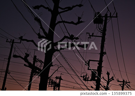 夜幕降臨的天空 135899375