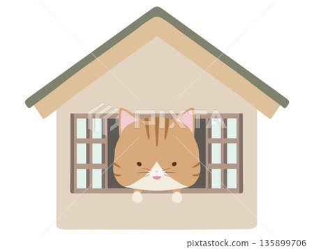 Smiling brown tabby cat at home Smiling brown tabby cat at home 135899706